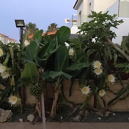 Carolyn Is A Luxury 4-bedroom With Private Pool In Βίλα *