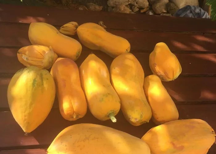 Carolyn Is A Luxury 4-bedroom With Private Pool In Ayia Napa