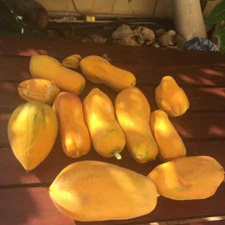 Carolyn Is A Luxury 4-bedroom With Private Pool In アヤナパ