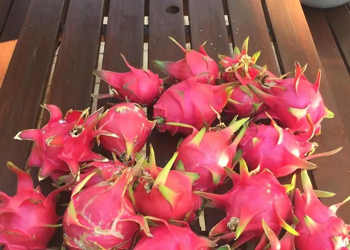 וילה Carolyn Is A Luxury 4-bedroom With Private Pool In