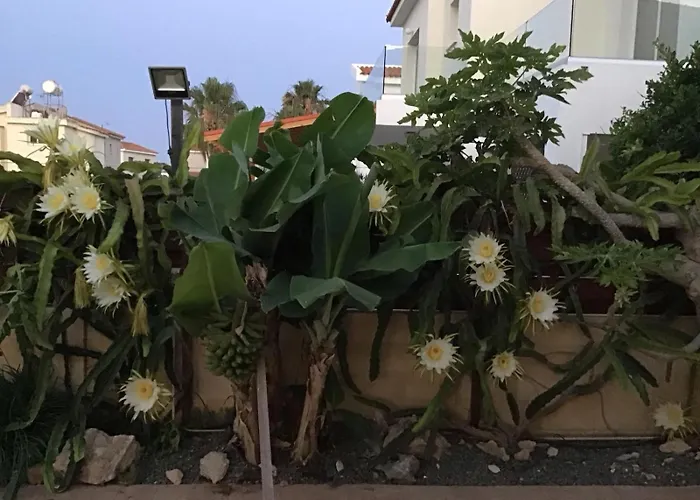 Carolyn Is A Luxury 4-bedroom With Private Pool In וילה *