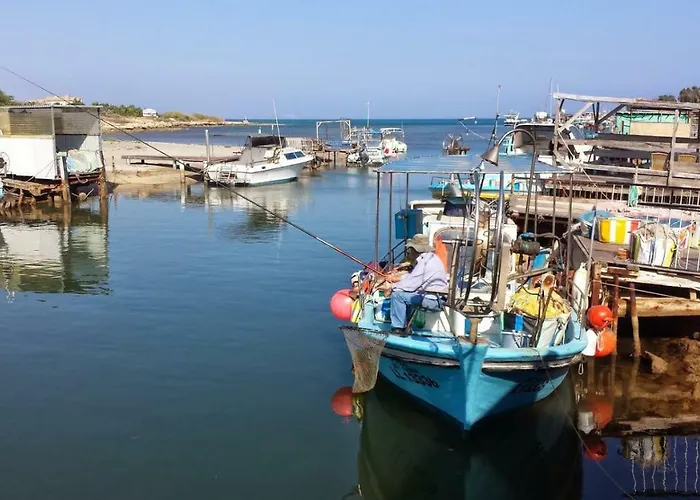 Carolyn Is A Luxury 4-bedroom With Private Pool In איה נאפה