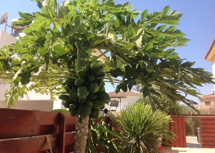 Carolyn Is A Luxury 4-bedroom With Private Pool In וילה *