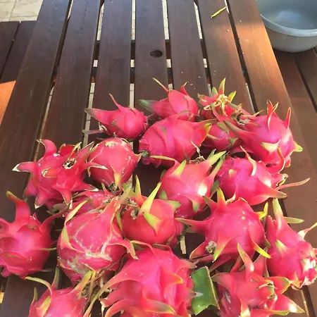 וילה Carolyn Is A Luxury 4-bedroom With Private Pool In