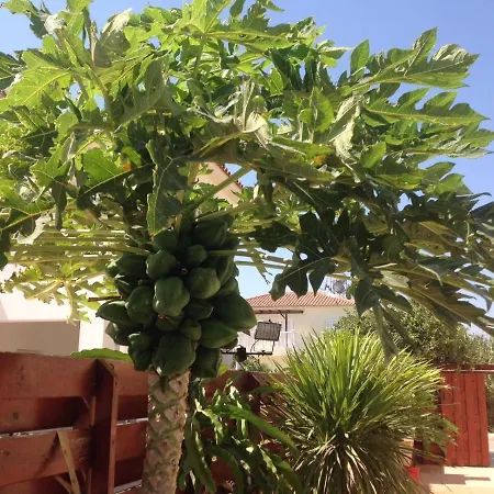 Carolyn Is A Luxury 4-bedroom With Private Pool In וילה *