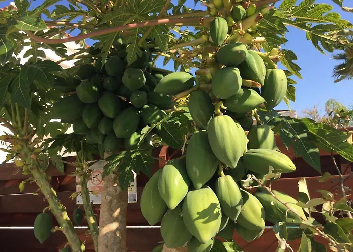 Carolyn Is A Luxury 4-bedroom With Private Pool In Villa Agia Napa